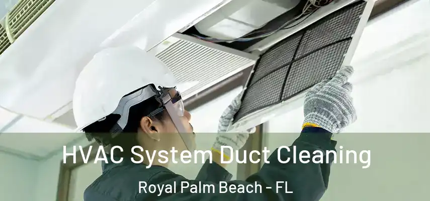  HVAC System Duct Cleaning Royal Palm Beach - FL